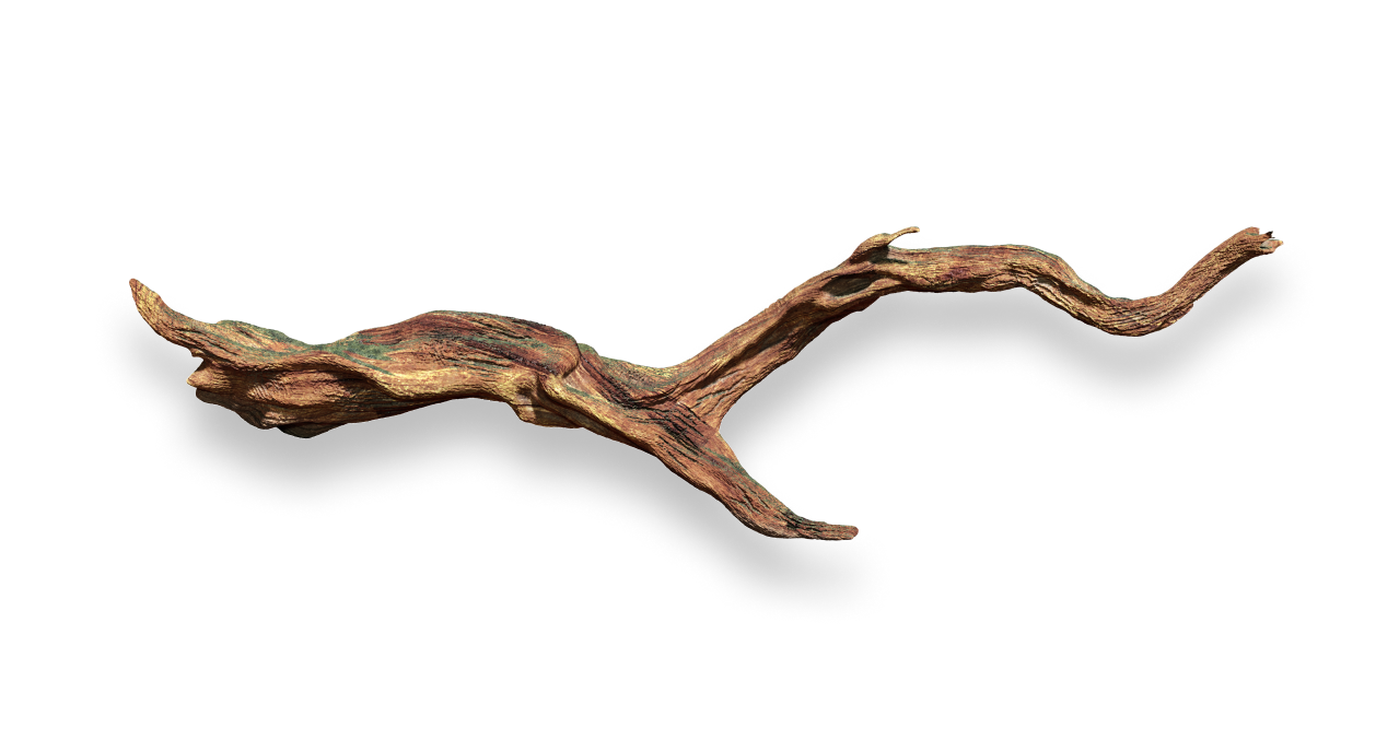 Driftwood